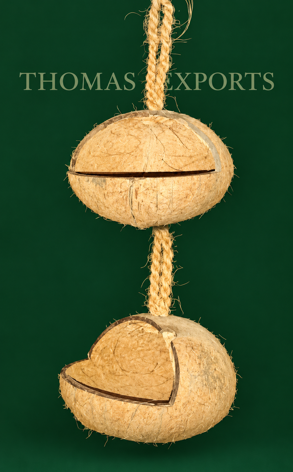 V-cut Coco Shell